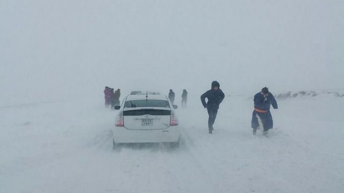 Төв, говь болон зүүн аймгуудын нутгаар цасан шуурга шуурч, үзэгдэх орчин хязгаарлагдана