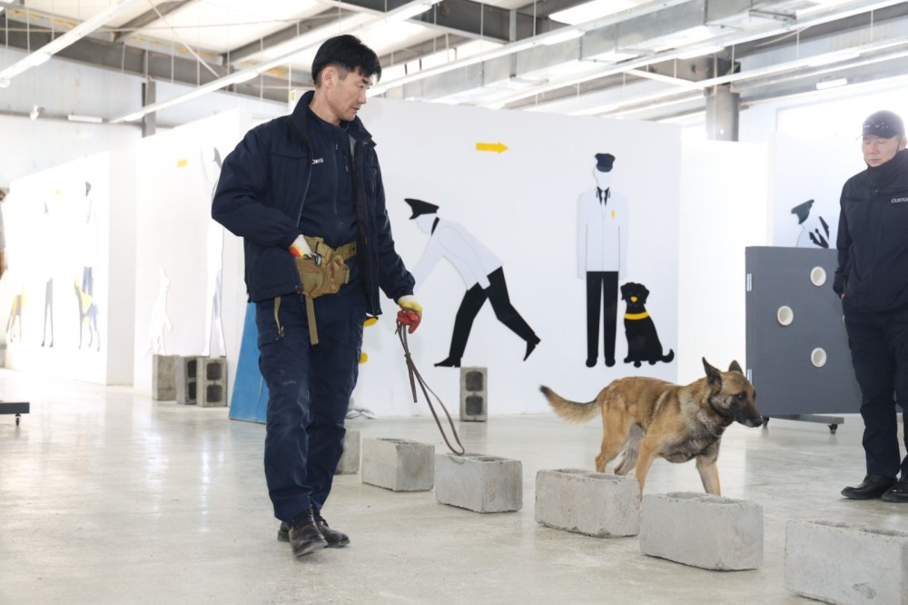 Эрэлч нохдыг хар тамхи, зохион байгуулалттай гэмт хэрэг илрүүлэх чиглэлээр сургажээ