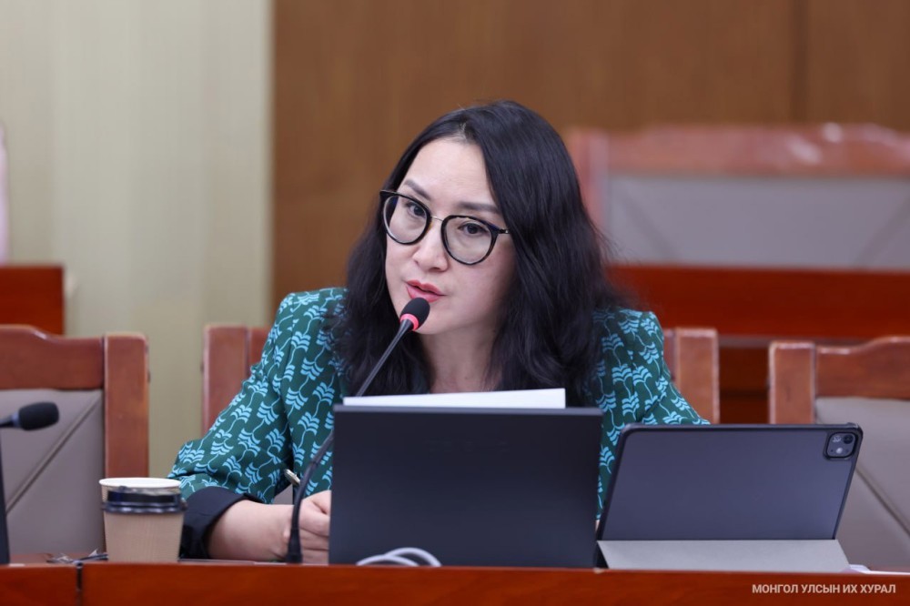 "₮792 мянга хүртэлх орлогыг татвараас чөлөөлж, ₮2 сая хүртэлх орлогод 1 хувийн татвар ногдуулна"